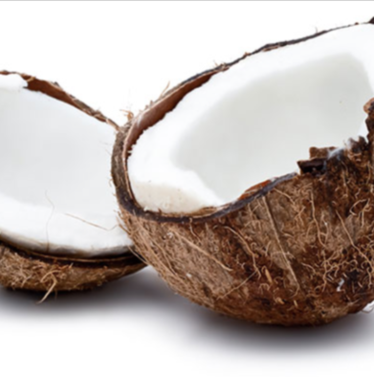 ON TREND PRODUCT: CONSCIOUS COCONUT – TRAVEL SIZE COCONUT OIL FOR THE FIRST TIME