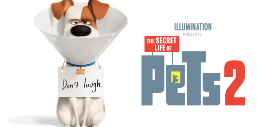 MOVIE REVIEW: THE SECRET LIFE OF PETS 2
